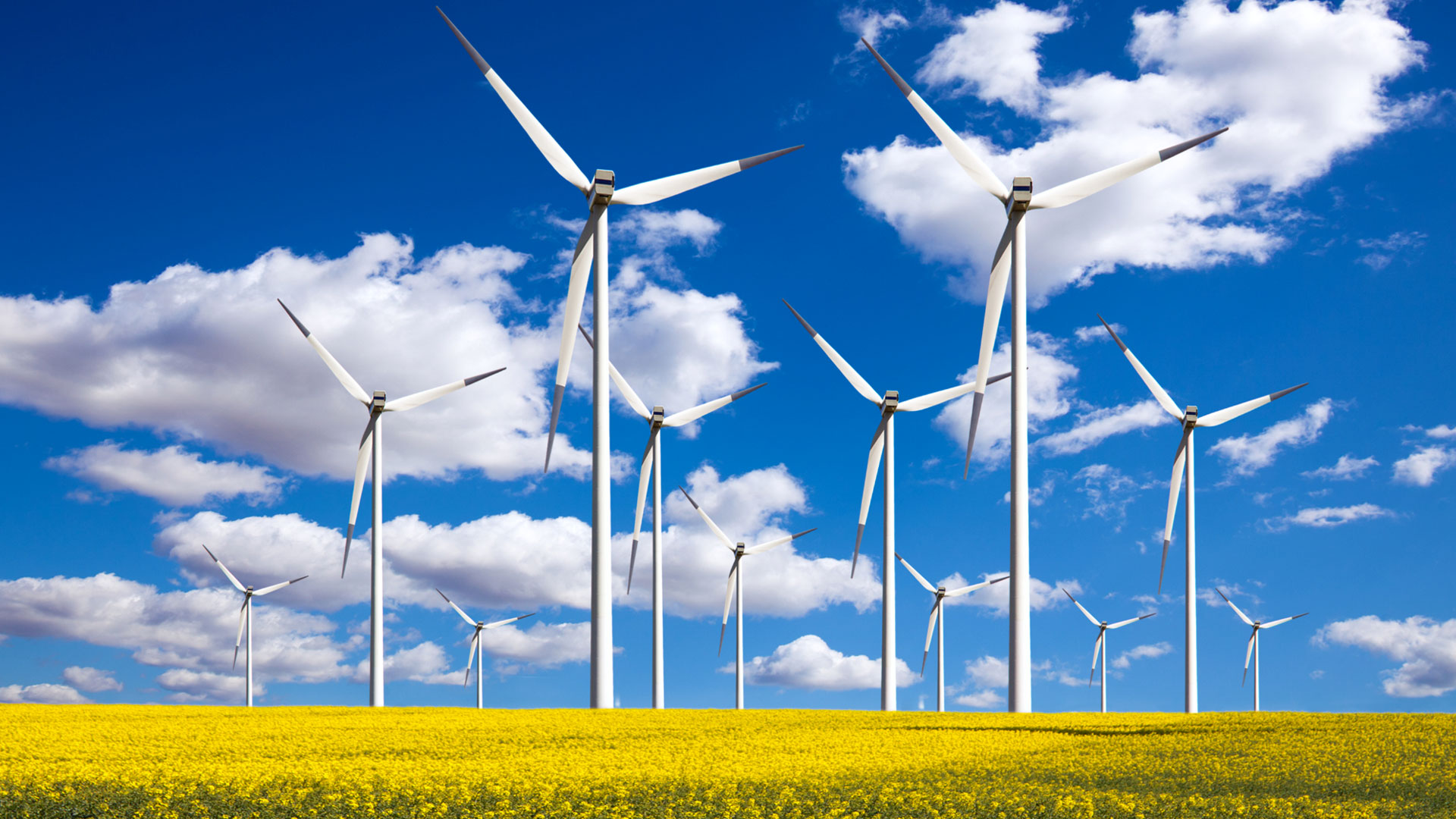 Energy & Utilities